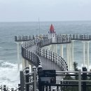 나의 완벽한비서 드라마 찍은포항 이가리! 이미지