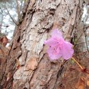 고사리마을회관 이미지