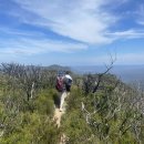 호주 블루마운틴스 대자연 하이킹 투어 후기(Hikeandseek 단독 코스, 스냅 포함)
