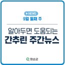 중앙로+칠충로 네이버블로그
