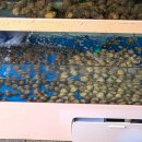 온누리수산 이미지