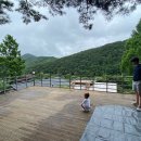 벳소캠프 이미지