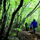 가탄교 입구 이미지