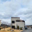 태리온 | 천안 애견 동반 카페 태리온 후기(1층 실내, 2층 테라스 강아지 가능! 루프탑 있음!)