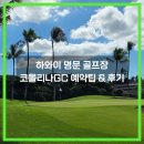 알바트로스골프장 | 하와이 명문 LPGA 개최 골프장, 코올리나CC 골프클럽 예약 방법 &amp; 라운딩 후기