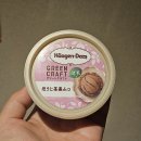 (주)유니온반도 | [오사카 한달살기] 4주차 기록 (1)