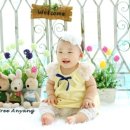 레몬트리 이미지