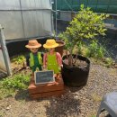 엄마농장 이미지