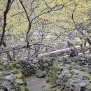 산동카 이미지
