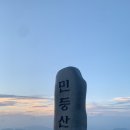 빈티지속초