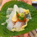 싱싱수산 - 광주시 경안로25번길 14 | 시흥횟집 신천동 '싱싱수산시장' 모듬회 + 물회 후기