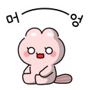 워시존손세차장 이미지