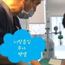 알파성형외과의원 | 울산 다이어트, 상체는 말랐는데 허벅지만 그대로라면? (20대 팻셀 시술 후기)