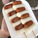 광양 애견 카페 ‘개편한세상’ 다녀온 후기!