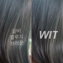 위트헤어(WIT)