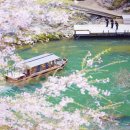 주정차47 이미지