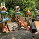 원주곤충마을박물관 이미지