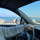 에이스렌트카 | 제주도렌트카 제주 여행 코스 추천 에이스렌트카