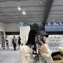 그레이(GRAY) | 도산 어티슈 방문 | 윙 캡 그레이 Wing Gray 구매 후기