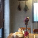 오늘의카페 이미지