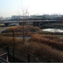 카페파구스 - 안산시 단원구 | 카페파구스