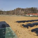 건우 농장 이미지