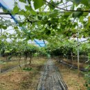 율현농장 이미지