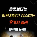 장수-9 이미지