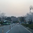 배영곡 네이버블로그