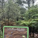 산채랑황태랑 | 비 오는 날, 횡성 숲체원 그리고 산채랑 황태랑