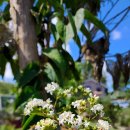 여주-0920 이미지