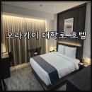 서울 종로구 숙소 오라카이 대학로 호텔 스탠다드더블룸 숙박 후기