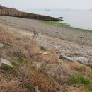 남해-270 이미지