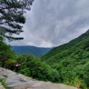 재일농원 이미지