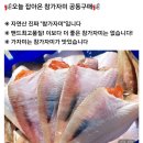 강추) 참가자미 공동구매 이미지