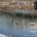 장수멍냥 | 어쩌다 아차산을 두 번이나