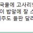 넉둥베기고사리육개장 이미지