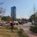 광교호수공원 가족캠핑장 이미지