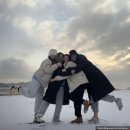 스테이 더 딜라잇 이미지