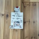 옥산중학교 | [옥산카페] 카페리얼 방문후기