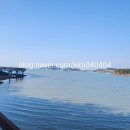 소라면 가사리 이미지