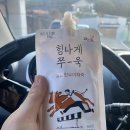 남부대국제수영장수영복