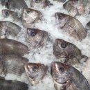 썬자원개발 이미지