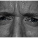 사시미래 이미지