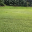 챔피온골프장 이미지