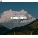비해피 네이버블로그