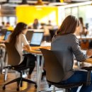 하이라이트 카카오 검색결과