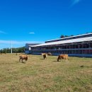 제주축산 이미지