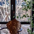 제주외가 이미지