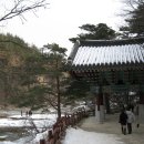 3001번 버스에서 본 풍경 이미지
